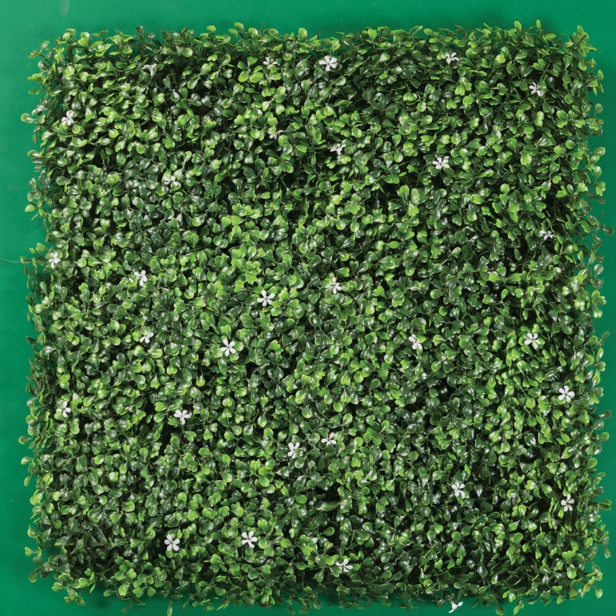 MURO VERDE Interior y Exterior - Imagen 8