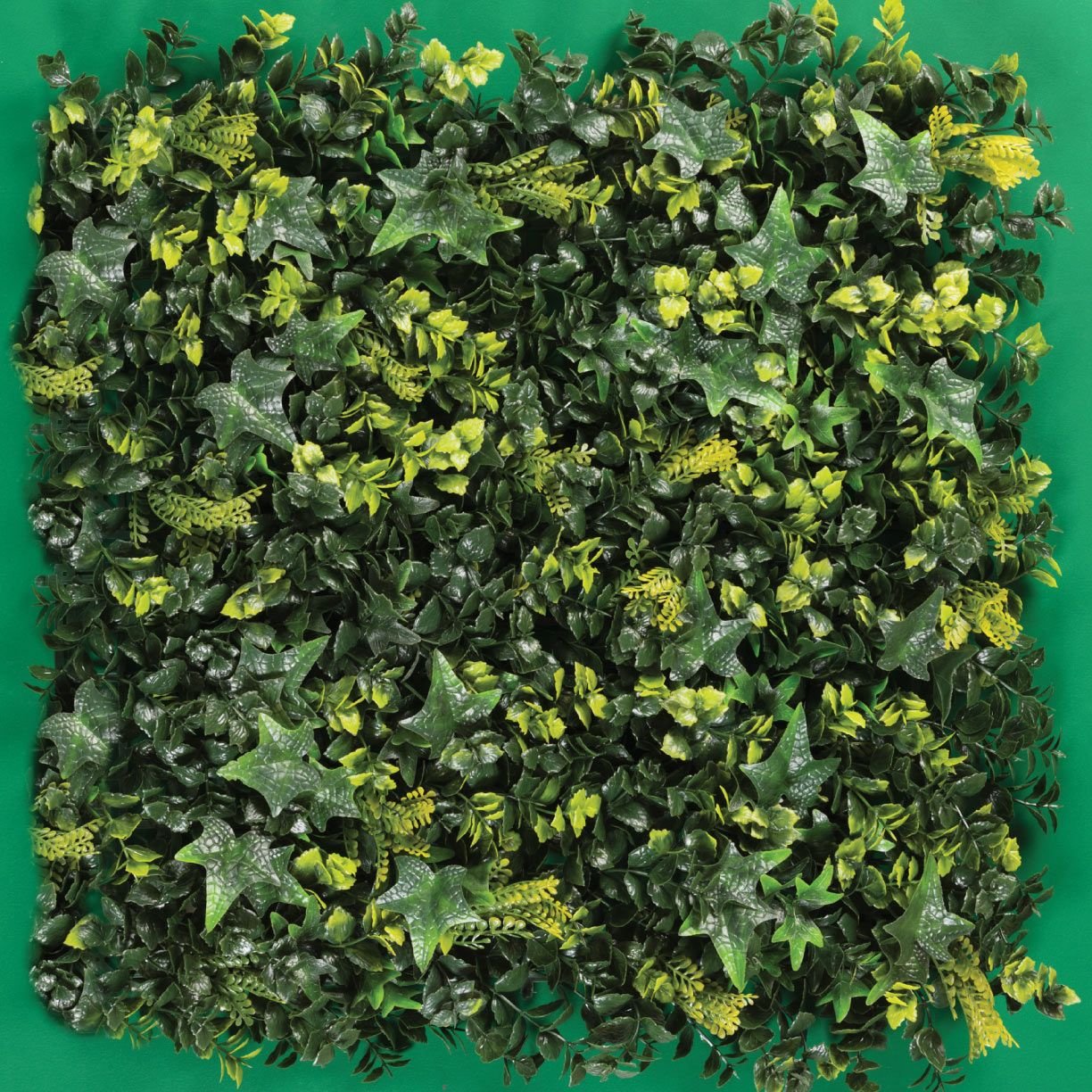 MURO VERDE Interior y Exterior - Imagen 15