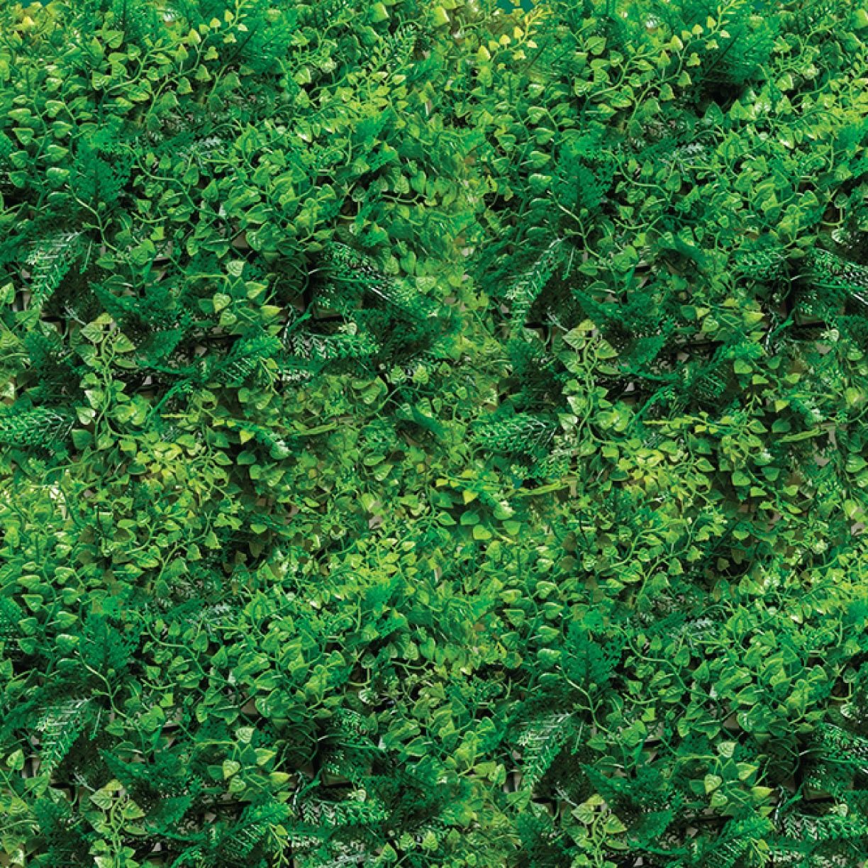 MURO VERDE Interior y Exterior - Imagen 16